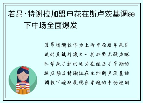 若昂·特谢拉加盟申花在斯卢茨基调教下中场全面爆发